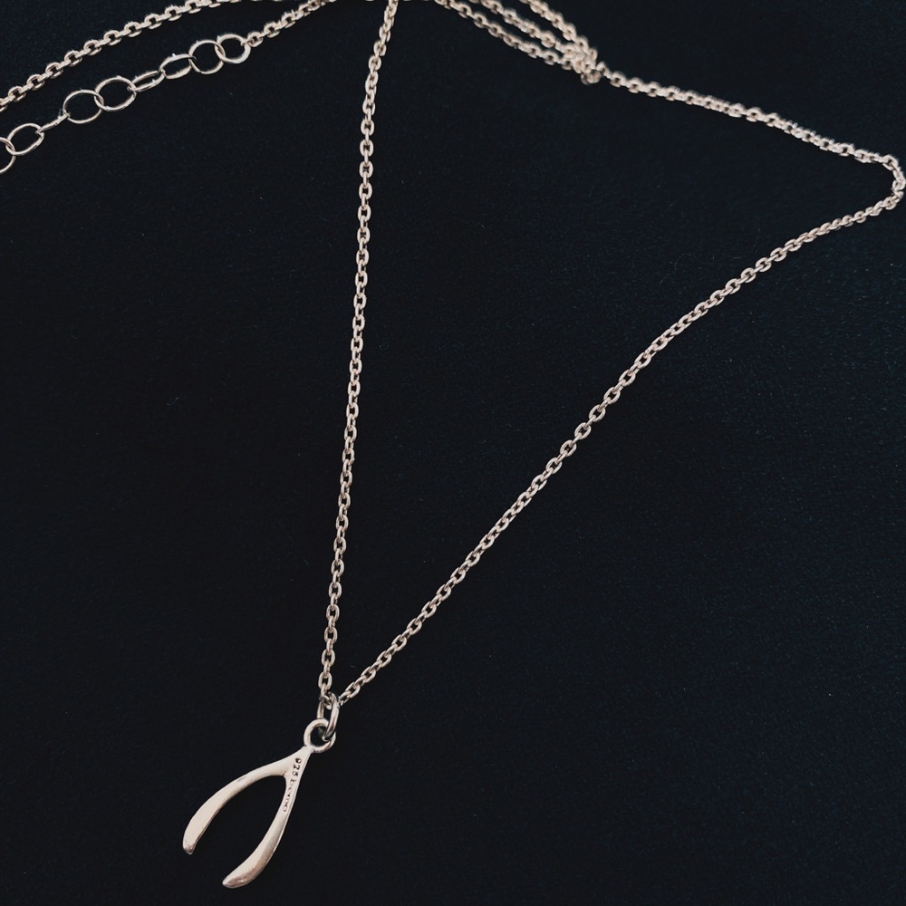 Lucky bone necklace, silver